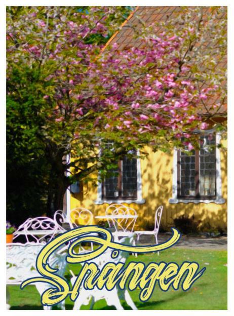 Spangens Gastgivaregard Inn Ljungbyhed Buitenkant foto